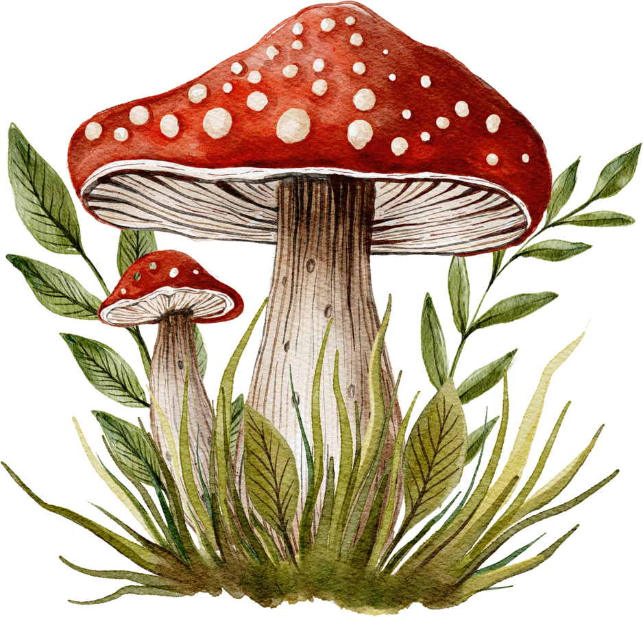 Fungus Mushrooms Watercolor